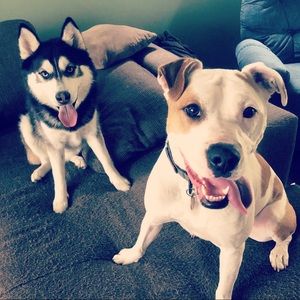 Meet your Posher, Michaela